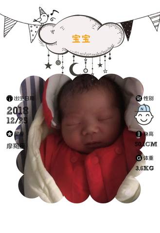 journal_insert_pic_1154403273