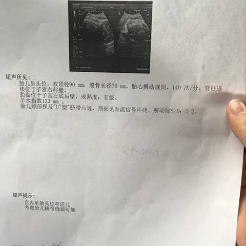 journal_insert_pic_1154217594