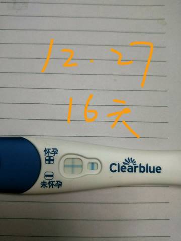 journal_insert_pic_1155254337