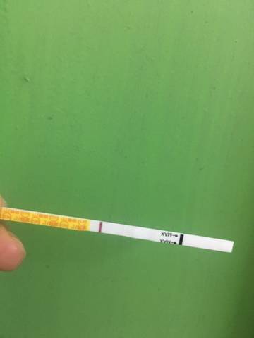 journal_insert_pic_1155355397