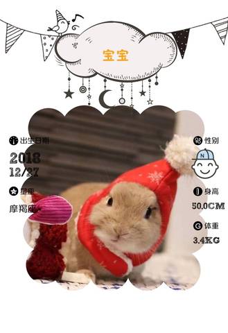 journal_insert_pic_1155537926