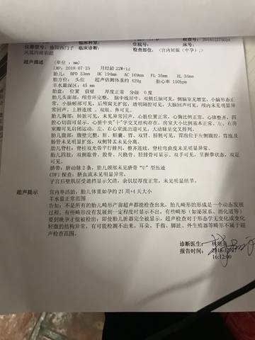 journal_insert_pic_1155521622