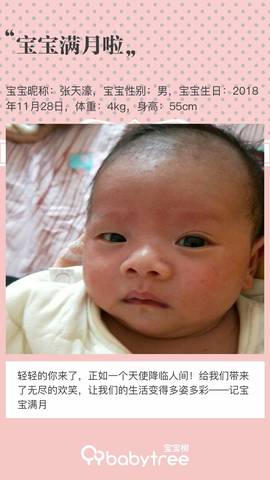 journal_insert_pic_1155617876