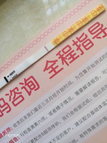 journal_insert_pic_1155906164