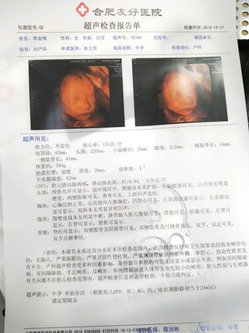 journal_insert_pic_1155871834