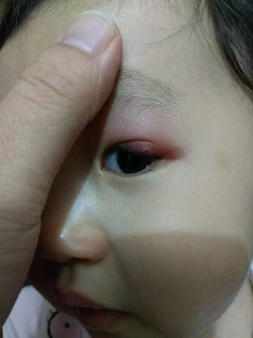 journal_insert_pic_1156370244