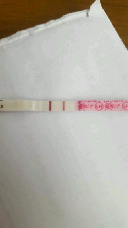 怎么才能知道输卵管通不通？