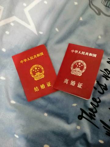journal_insert_pic_1156569353