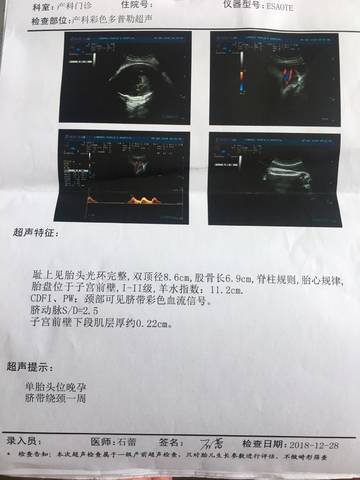 journal_insert_pic_1156874160