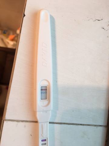 journal_insert_pic_1156820384