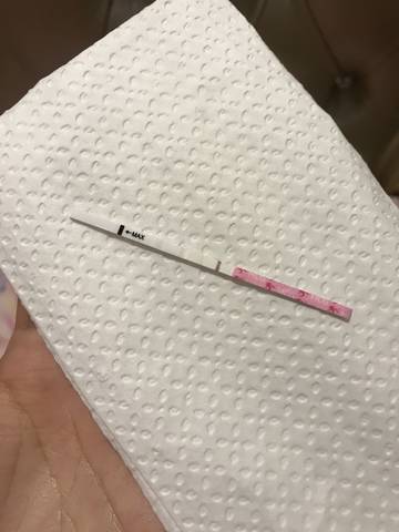 journal_insert_pic_1156826314