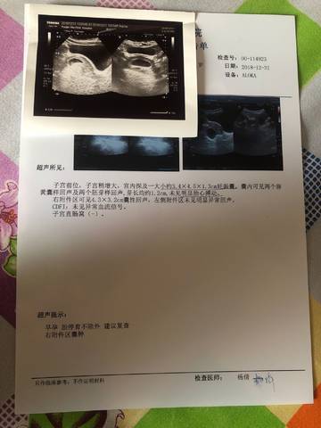 journal_insert_pic_1157512951
