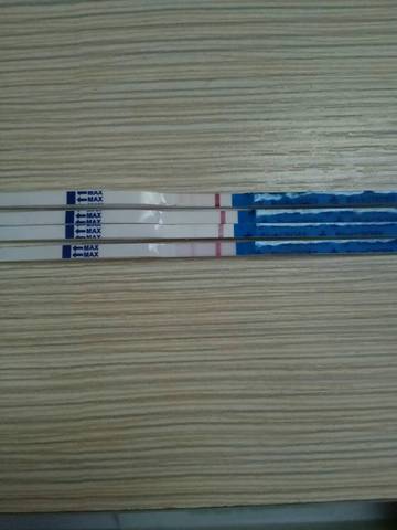 journal_insert_pic_1158109145