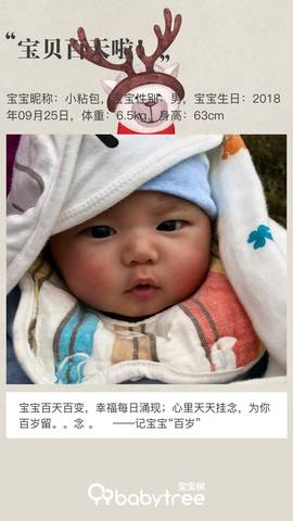 journal_insert_pic_1157983217