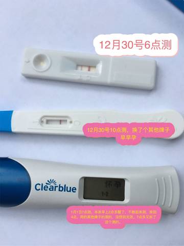 journal_insert_pic_1157909648