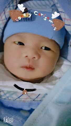 journal_insert_pic_1158739937
