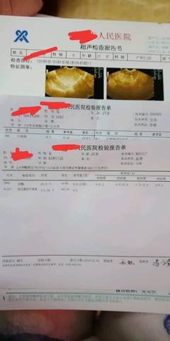journal_insert_pic_1159234476