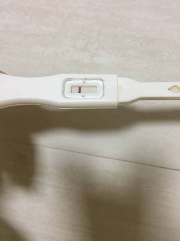journal_insert_pic_1159090955