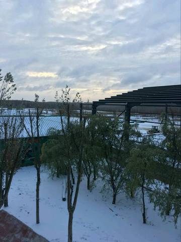 journal_insert_pic_1160121322