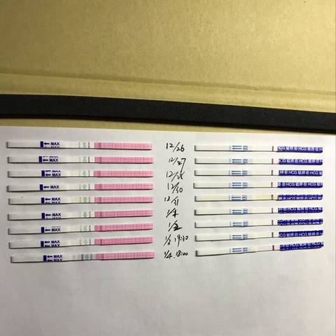 journal_insert_pic_1159957866