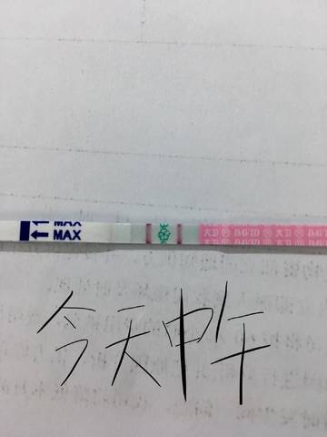 journal_insert_pic_1161715801