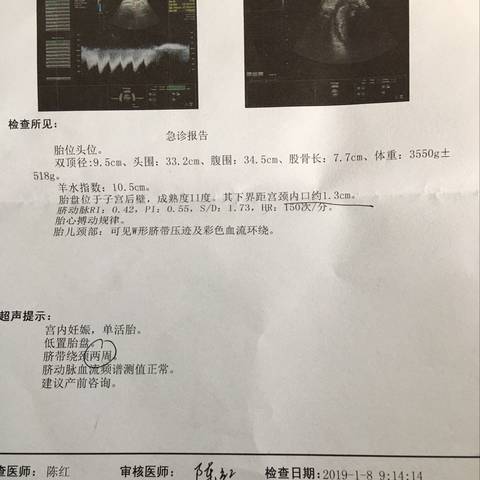 journal_insert_pic_1162052583