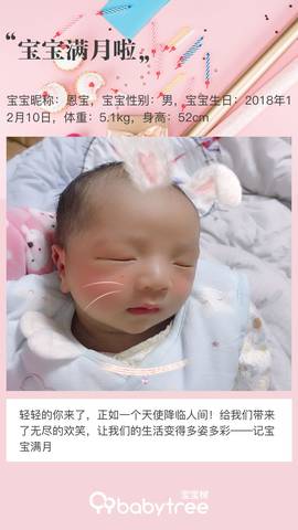 journal_insert_pic_1162404170