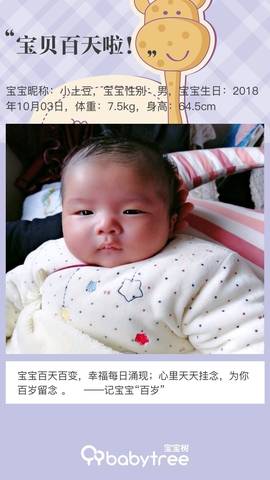 journal_insert_pic_1163293007