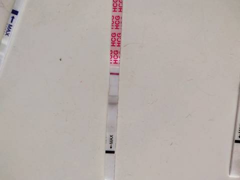 journal_insert_pic_1163538823