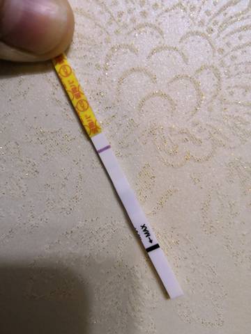 journal_insert_pic_1163486687