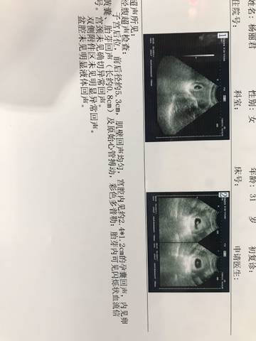 journal_insert_pic_1164493097