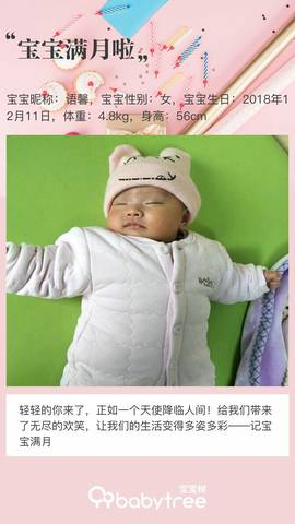 journal_insert_pic_1165021028