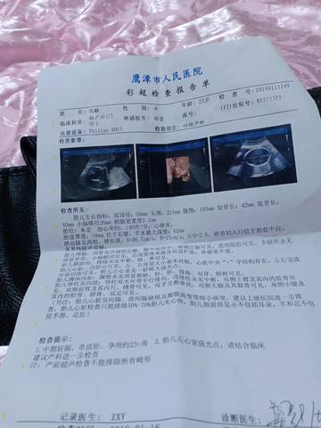 journal_insert_pic_1166242497