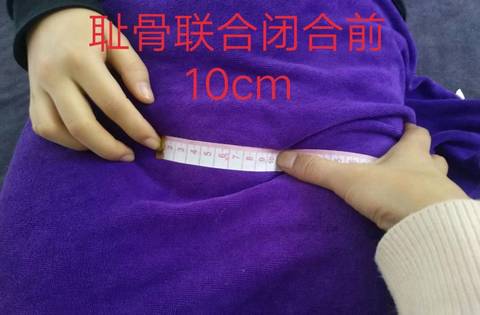 journal_insert_pic_1167741915