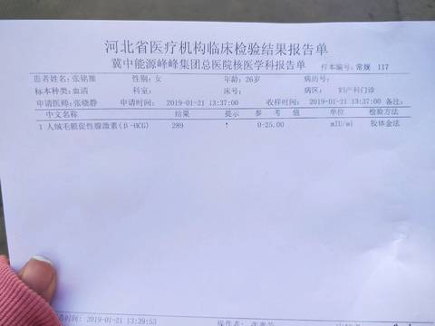 journal_insert_pic_1168610367