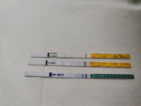 journal_insert_pic_1168664128