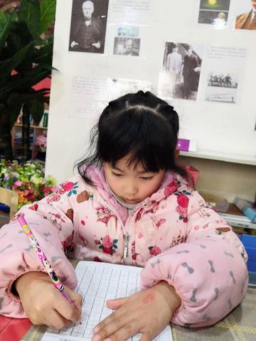 journal_insert_pic_1168964392