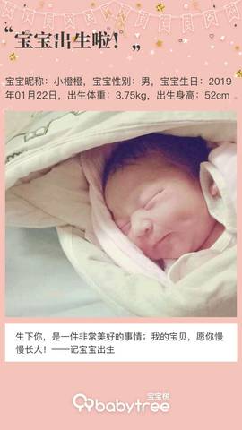 journal_insert_pic_1169414311