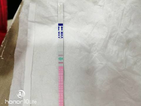 journal_insert_pic_1169414422