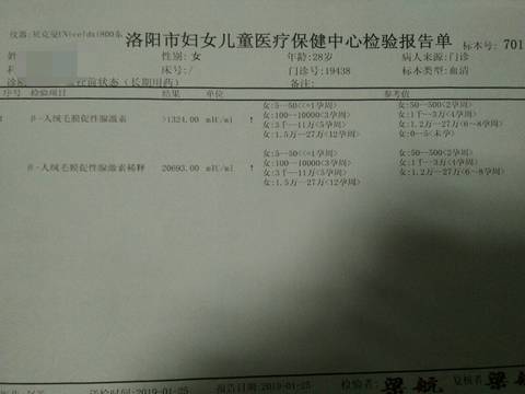 journal_insert_pic_1170927492