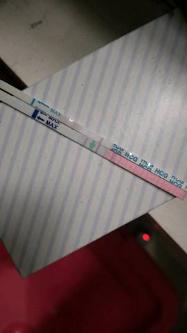 journal_insert_pic_1172792045