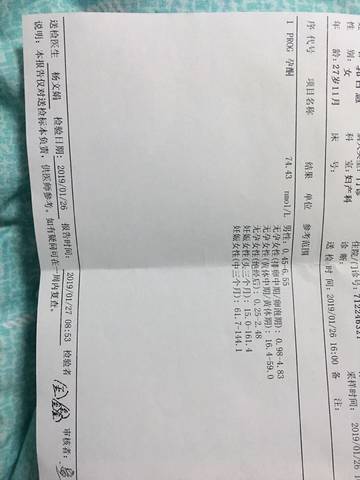 journal_insert_pic_1172835401