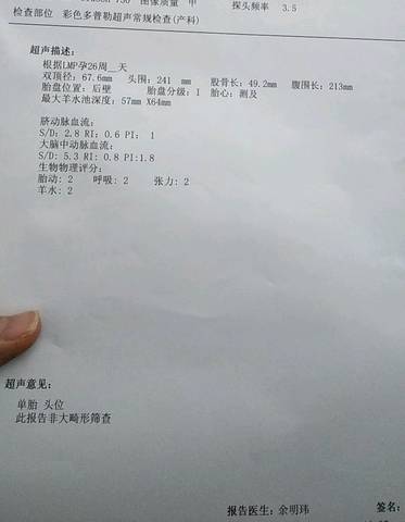journal_insert_pic_1173949913