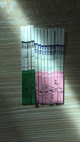journal_insert_pic_1174776836