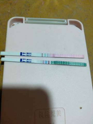 journal_insert_pic_1174743355