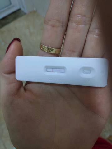 journal_insert_pic_1176750845