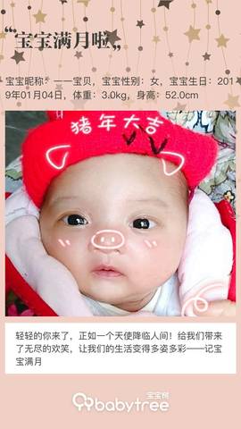 journal_insert_pic_1176843028