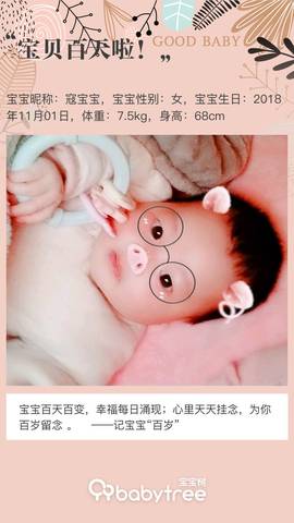 journal_insert_pic_1178310976