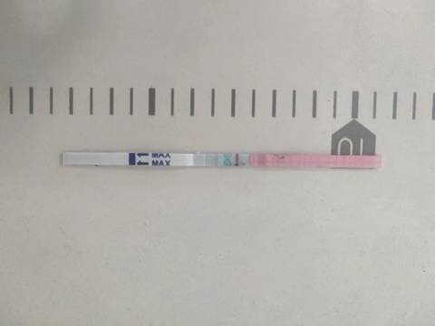 journal_insert_pic_1178724706