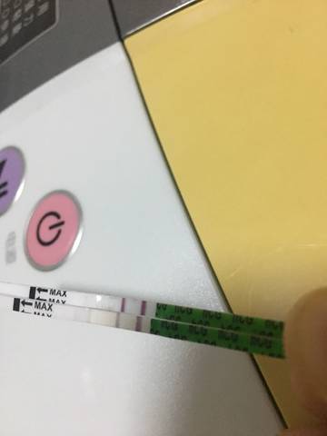 journal_insert_pic_1179871515